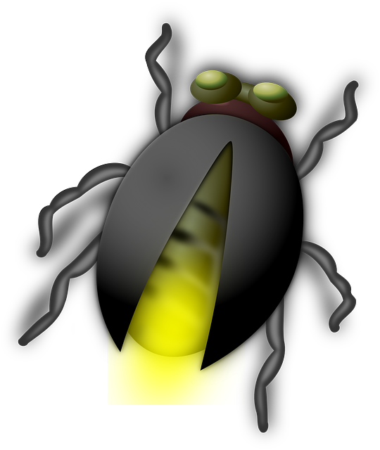 Glow-bug
