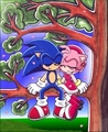 Sonic and Amy