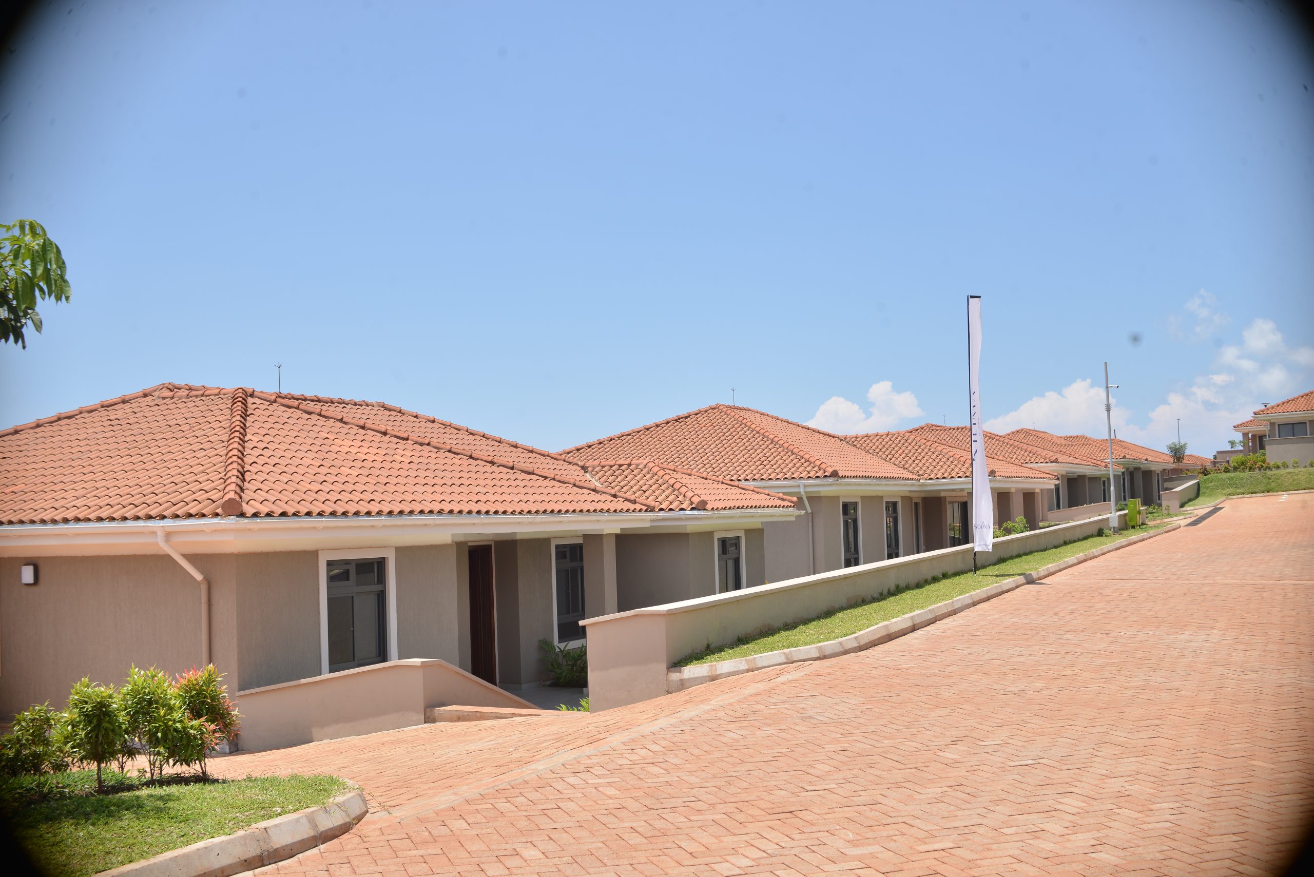 estate