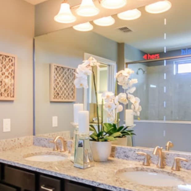 Dual sinks with backsplash in owner's bathroom
