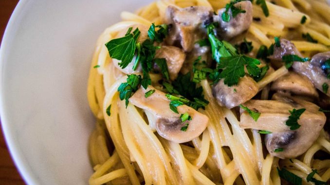 houbove testoviny recept houbove testoviny