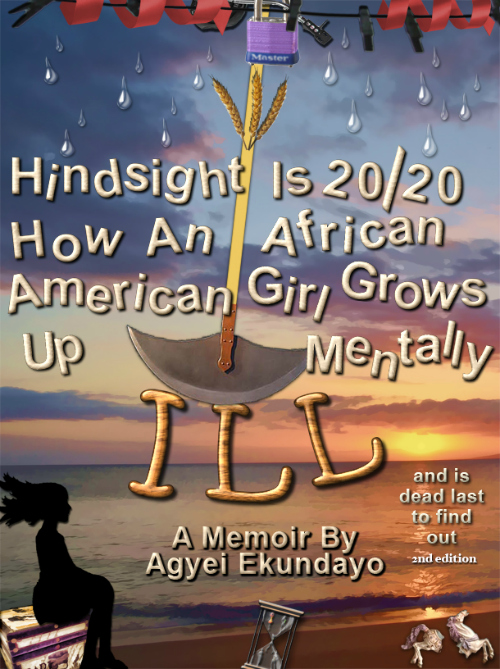 Hindsight is 20/20, book