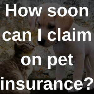 how soon can I claim on pet insurance?