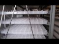 12672 eggs incubator (3 trolley rooms) XCH-12672