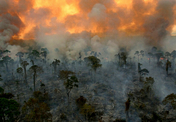 Burning rainforest