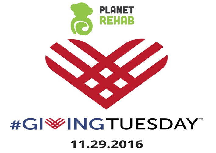 Planet Rehab Giving Tuesday logo