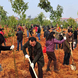 People planting trees