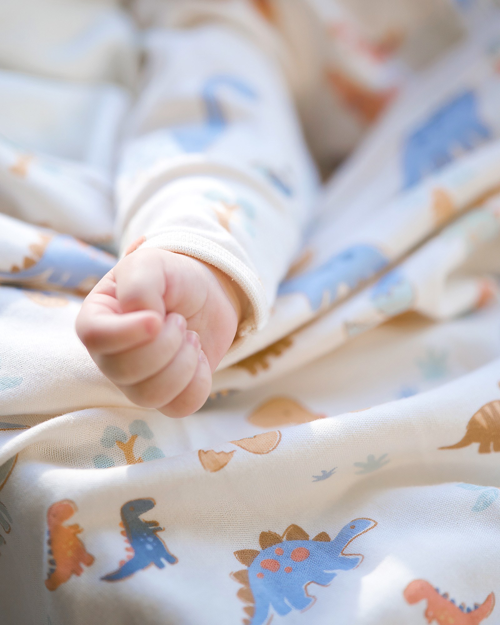 Soft Comfort with Playful Dinosaur Style