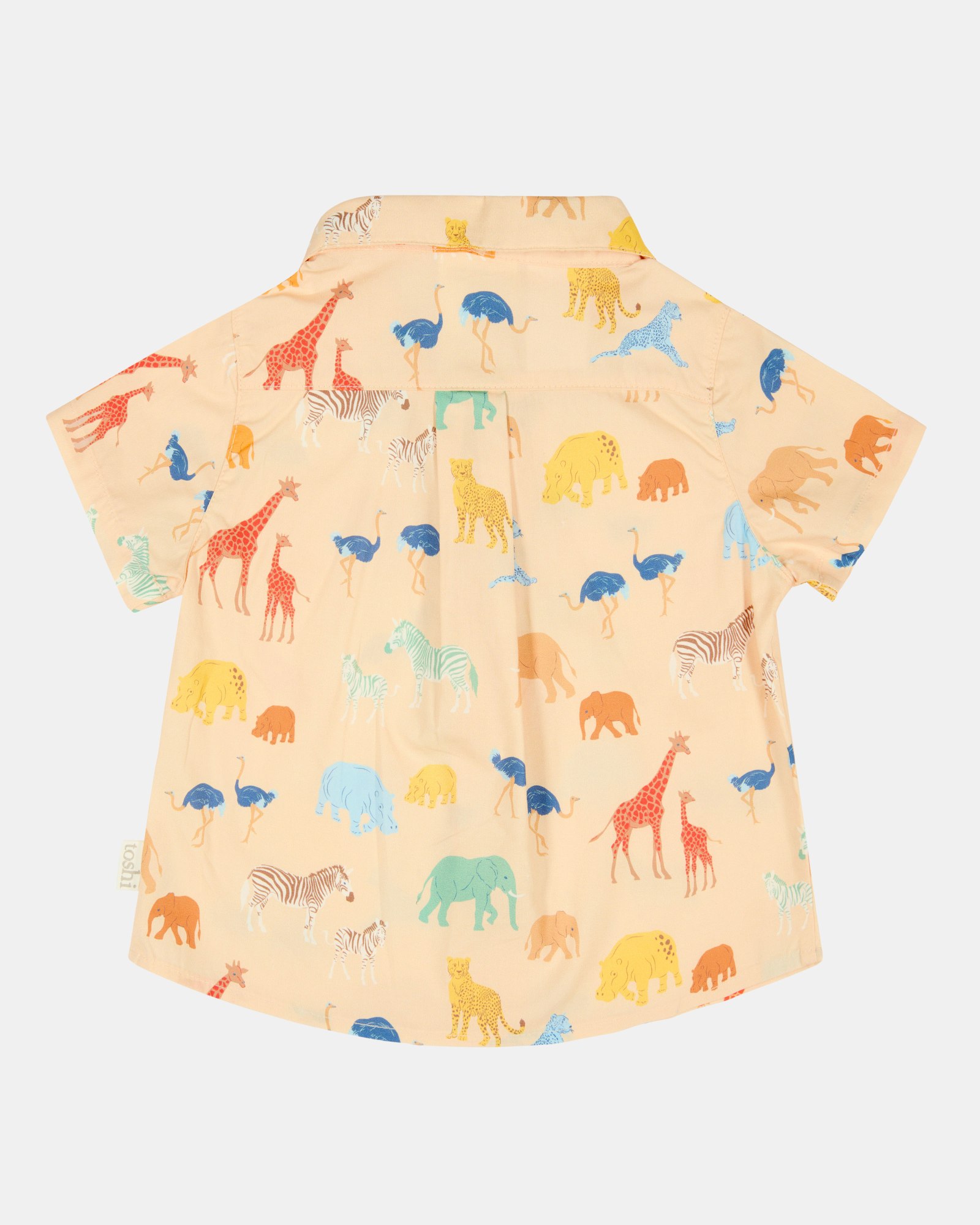 Vintage Charm and Comfort in Animal Print