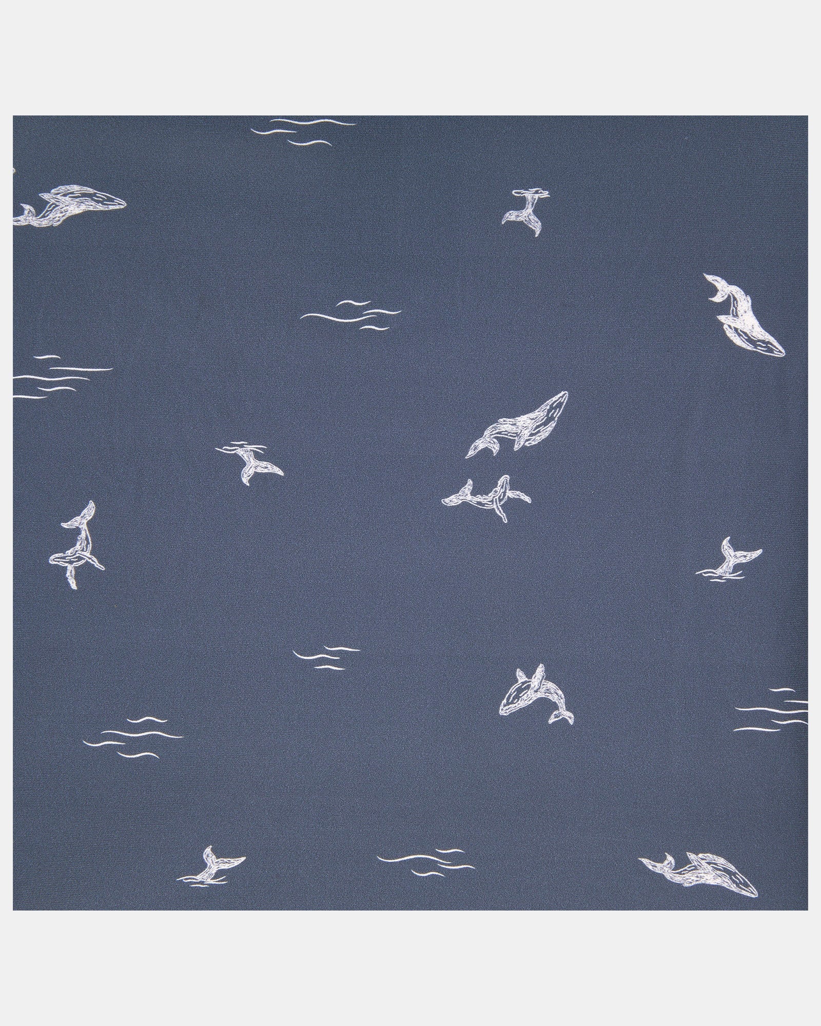 Eco-Friendly Reusable Swim Nappy with Whales