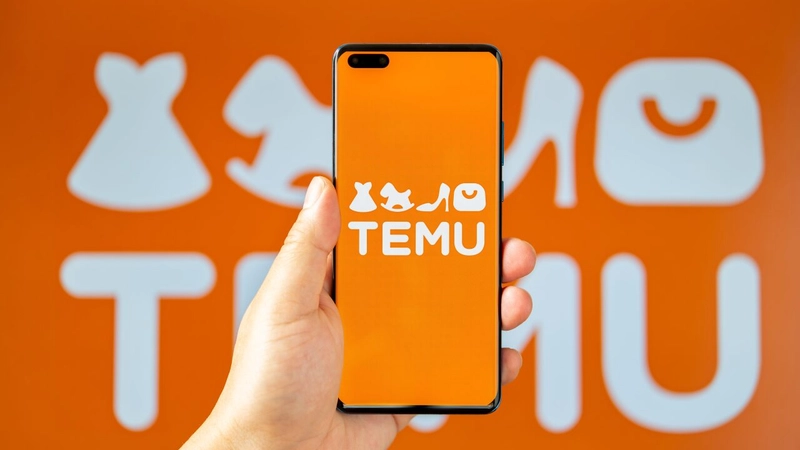 Why TEMU Is So Cheap ?