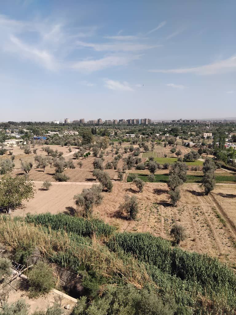 ساندي لتسويق العقارات