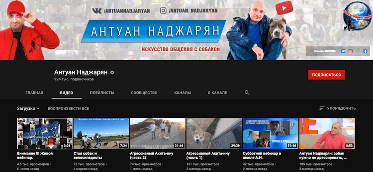 Популярные YouTube каналы про животных