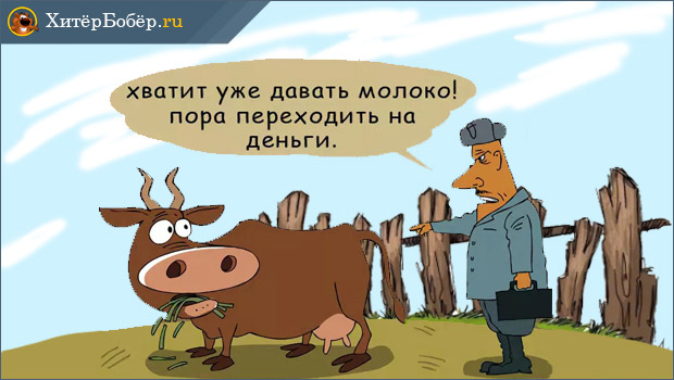 Пруд на своем участке