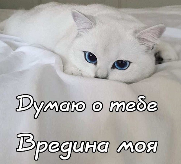 «»