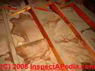 Attic shows roof nails protruding