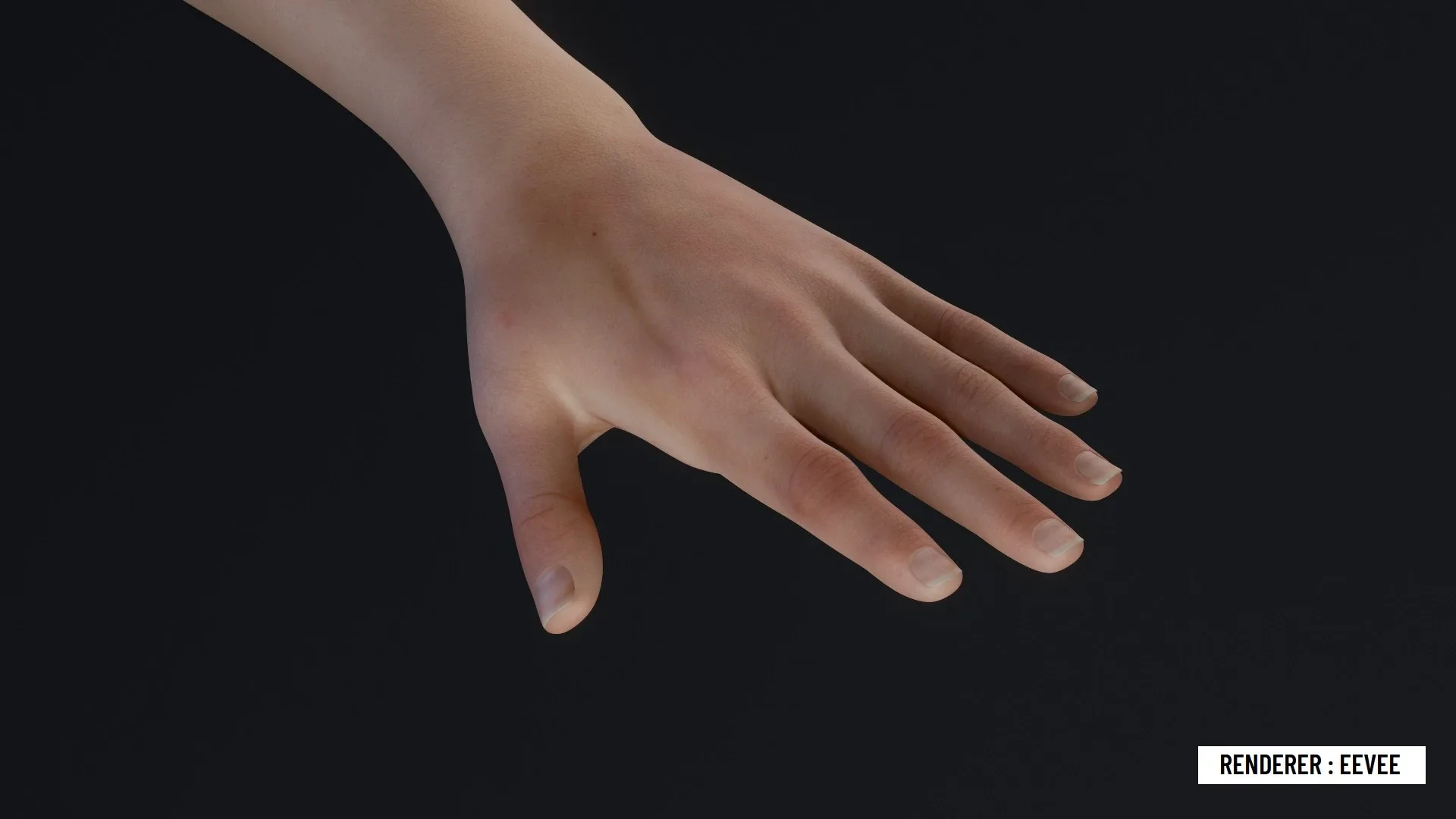 Realistic Beautiful Woman Nude FlippedNormals
