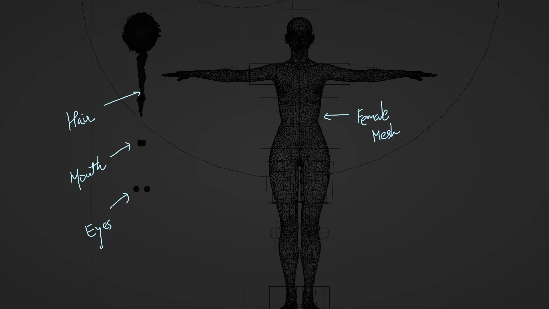 Realistic Girl Naked Rigged Model Flippednormals