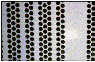 Tubesheet Coating: Galvanic Corrosion, Muntz Metal to Stainless Steel