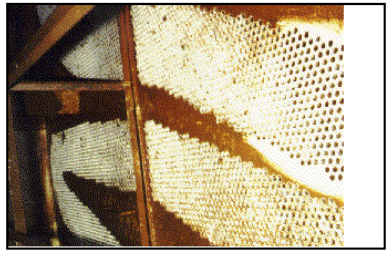 Main Condenser Tubesheet Coating: 116,000 Tubes, Kalinin Nuclear Plant