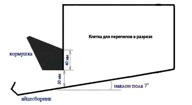 Как сделать своими руками клетки для перепелов разных возрастов: чертежи, размеры, мастер-классы