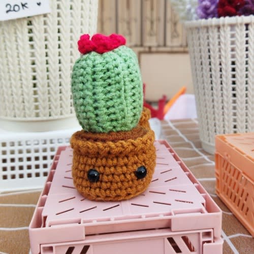 Mini Cactus