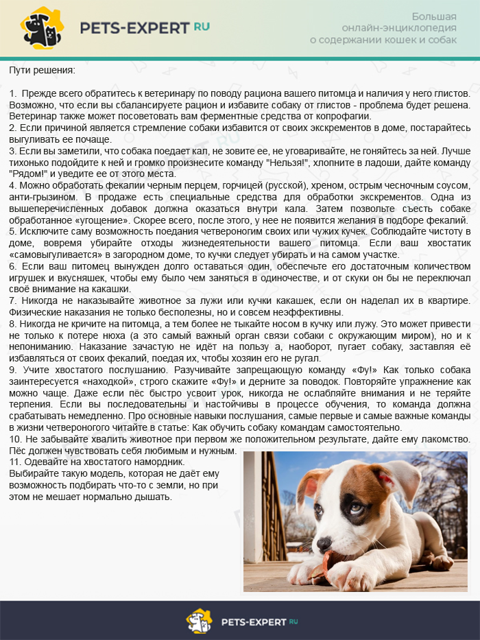 Способы решения проблемы