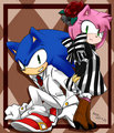 .:Sonic and Amy:.