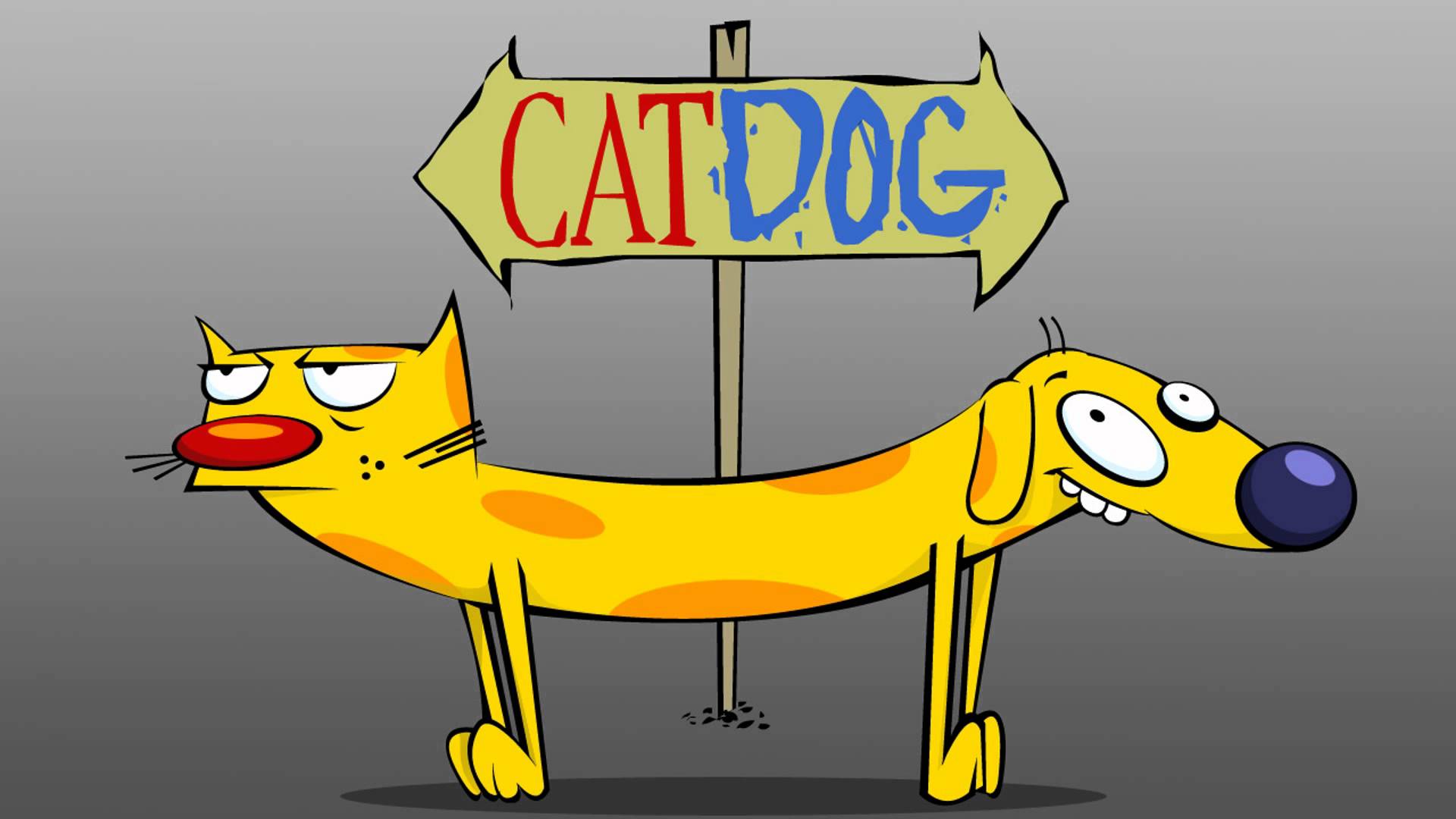Cat Dog
