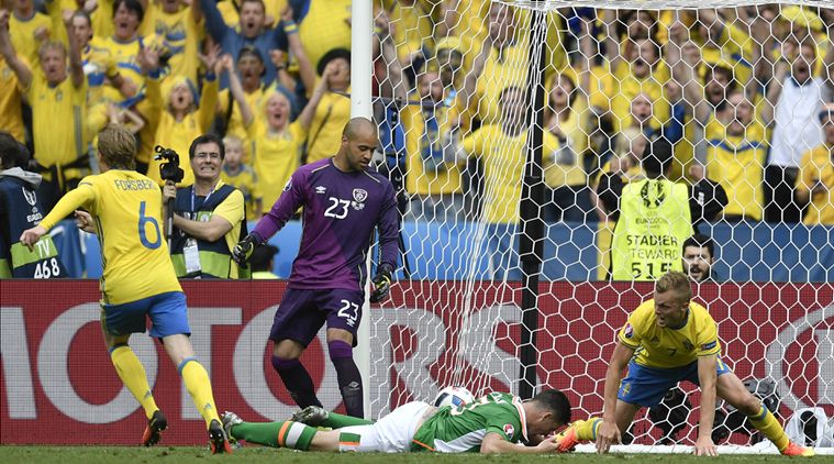 Sweden supporters react after Ireland's Ciaran Clark, on the ground, scored an own goal during the Euro 2016 Group E soccer match between Ireland and Sweden at the Stade de France in Saint-Denis, north of Paris, France, Monday, June 13, 2016. (AP Photo/Martin Meissner)
