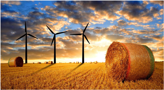SUSTAINABLE AGRICULTURE