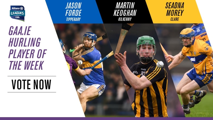 GAA.ie Hurler of the Week nominations.