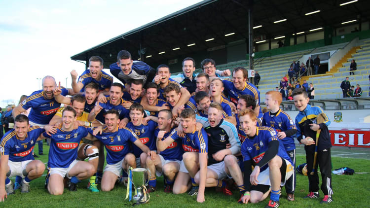 Ratoath won the Meath Intermediate Hurling title in October.