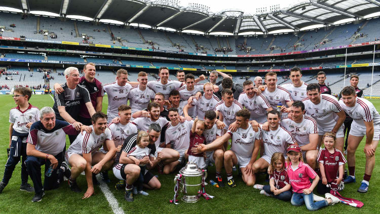 Leinster SHC Final: Galway blitz Wexford