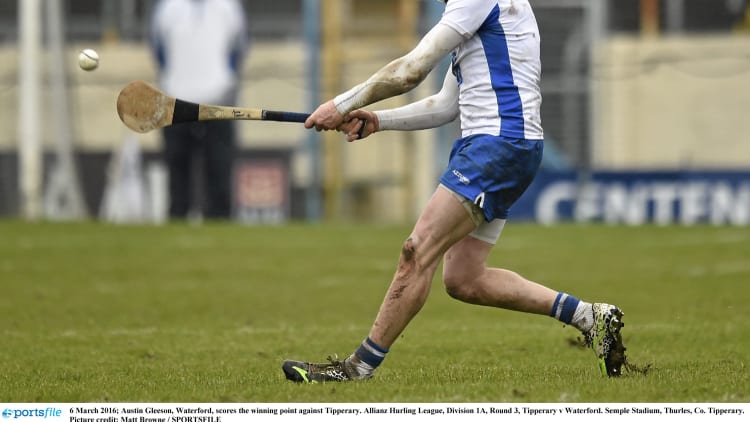 Austin Gleeson strikes the winner