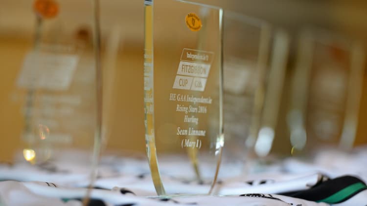 Independent.ie Football & Hurling Rising Stars for 2017 Announced