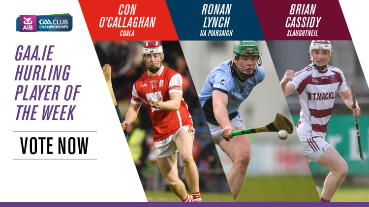 GAA.ie Hurler of the Week nominations.