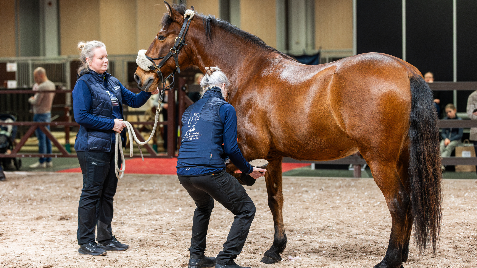 بزرگ‌ترین رویداد مربوط به اسب و اسب‌سواری در سوئد