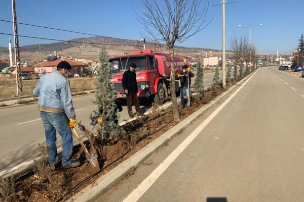 Mevlana Caddemizde Ağaçlandırma Çalışmaları