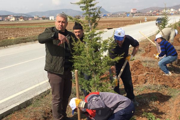 Güneysınır’a 2 Bin adet fidan dikildi.