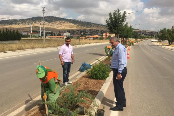 Çevre Düzenleme ve Ağaçlandırma