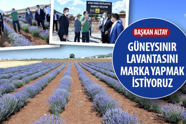 Güneysınır Lavantasını Marka Yapmak İstiyoruz