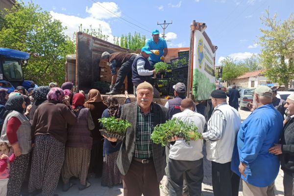 Güneysınır Belediyemizden üreticilerimize ücretsiz fide dağıtımı
