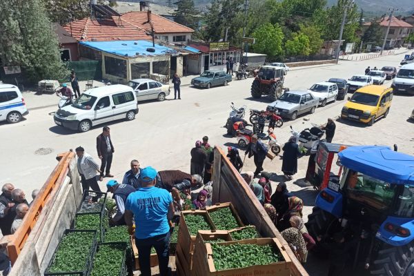 Güneysınır Belediyemizden üreticilerimize ücretsiz fide dağıtımı