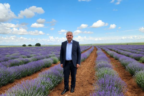 Güneysınır’da lavantalar çiçek açmaya başladı.