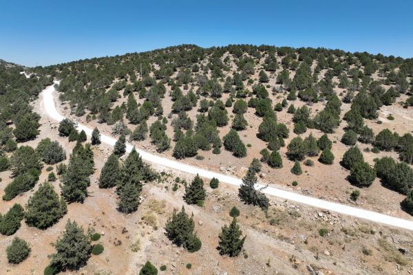 Akkışla Yaylası Yolumuz Asfaltlanarak Hizmete Sunuldu