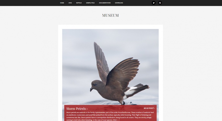 Wordpress шаблоны: 30 Wordpress шаблонов портфолио фотографа