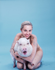 Голая актриса, певица Miley Cyrus фото, эротика, картинки - фотосессия из мужского журнала GQ на Xuk.ru! Фото 80