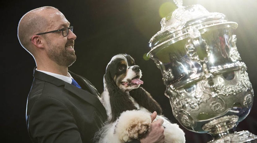 Tickets to Crufts 2018