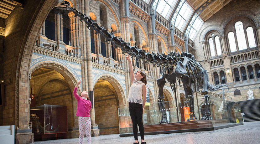 Dippy the Diplodocus heads to Birmingham Museum & Art Gallery